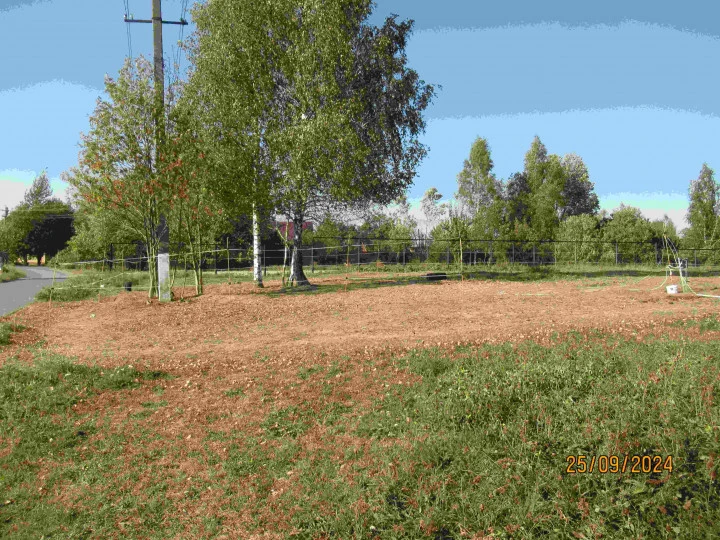 Продажа земельного участка сельскохозяйственного назначения, д. Голенищево (Мытищинский район, МО)