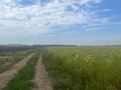 Продаются Земли 18,5 Га с/х в Краснодаре вблизи к трассе М-4 «Дон»