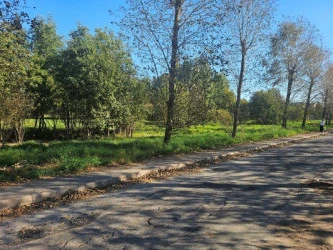 Земельный участок для коммерческой застройки в Пушкине