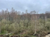 Земельный участок под ИЖС во Всеволожском районе Ленинградской области