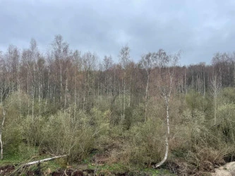 Земельный участок под ИЖС во Всеволожском районе Ленинградской области