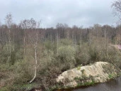 Земельный участок под ИЖС во Всеволожском районе Ленинградской области