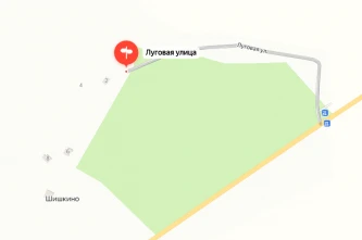 Земельный участок, площадью 9000 кв.м., кат. земель: земли населенных пунктов, виды разрешенного использования: для личного подсобного хозяйства, расположен по адресу: Калужская обл., р-н Барятинский, д. Шишкино, ул. Луговая.