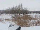 Земельный участок, площадью 20 368 кв. м., кадастровый номер: 55:36:130101:7731, местоположение:  г. Омск, ул. 2-я Солнечная, д. 25.