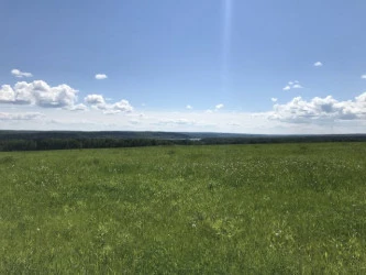Земельные участки (22 шт.) - 30 441 кв. м +/- 250 кв. м, адрес: Пермский край, Ильинский р-н, тер. урочище «Мыски», земли сельскохозяйственного назначения - для садоводства