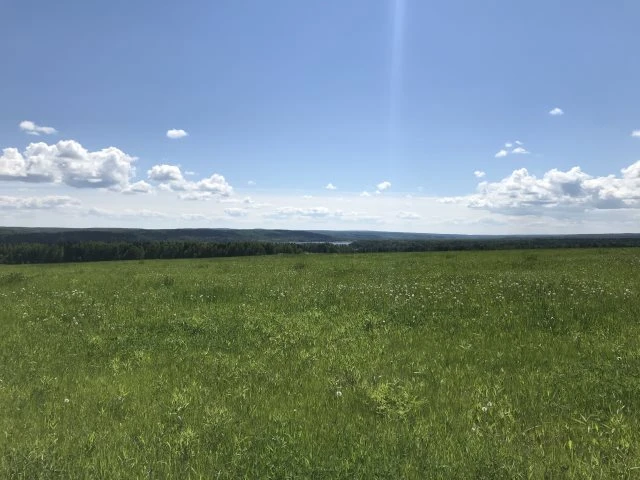 Земельные участки (22 шт.) - 30 441 кв. м +/- 250 кв. м, адрес: Пермский край, Ильинский р-н, тер. урочище «Мыски», земли сельскохозяйственного назначения - для садоводства