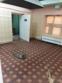 Помещение, площадь: 183,7 кв. м: Ярославская область, р-н Некрасовский, с/о Климовский, поселок при пансионате Левашово, д. 15