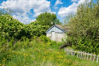 Нежилые здания и земельный участок по адресу: Нижегородская область, Гагинский р-н, с. Моисеевка, ул. Центральная, д. 8