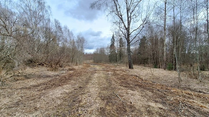 Земельный участок - 154 951 +/- 3 444 кв. м, земельный участок - 16 007 кв. м, адрес: Тверская обл., Зубцовский р-н, с/пос Зубцовское, вблизи д. Давыдково, д. Гармоново