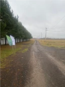 Земельный участок 1,2 Га м в городском округе Серебряные Пруды, Московская область