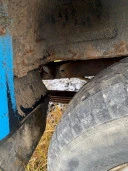 Автомобиль UAZ PICKUP