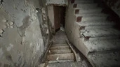 Нежилое здание 839,1 кв.м. с участком 2 216кв.м. в  Красносельском районе Санкт-Петербурга
