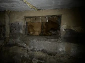Помещение  22,5 кв.м на Наличной ул.