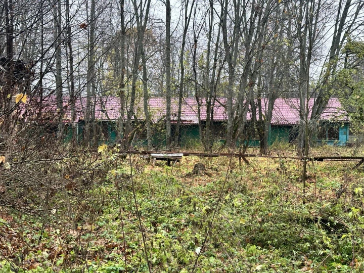 Имущественный комплекс со зданиями общей площадью 2 071 кв.м на земельном участке 176 658 кв.м, : Ярославская область, Переславский район, Глебовский сельский округ, с. Гагаринская Новоселка, ул. Садовая