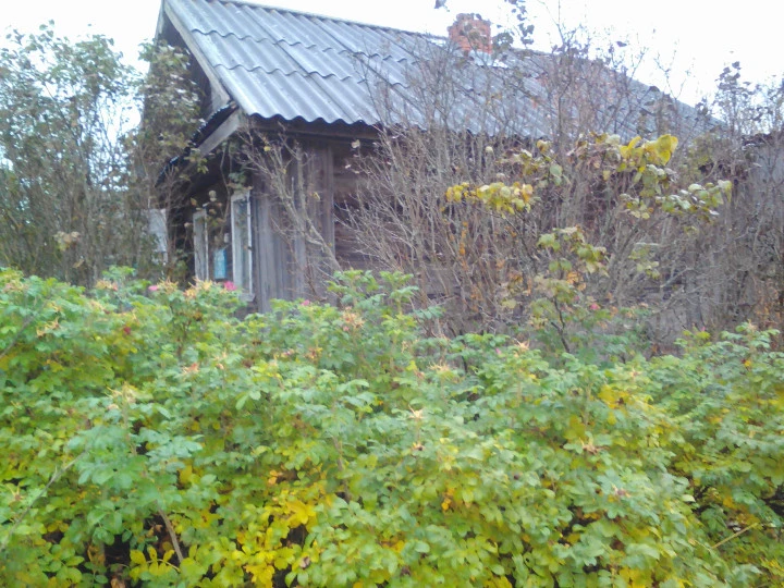 Аукцион по продаже земельного участка площадью 234 кв.м. и нежилого здания площадью 23,5 кв.м., расположенных по адресу: Кировская обл., р-н Шабалинский, д. Луни, ул. Центральная, д. 9 а
