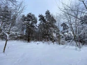 Земельный участок 15,7 соток в Зеленогорске