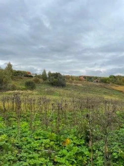 Земельный участок 10 000 +/-70 кв. м. в Тульской области, Щекинский р-н, с. Костомарово, кадастровый номер 71:22:050309:122