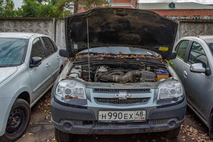 CHEVROLET NIVA, 212300-55; 2011 года выпуска, идентификационный номер (VIN): X9L212300B0346927