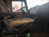 Грузовой - тягач седельный МАЗ-64229