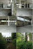 Комплекс зданий в пос. Пиндуши, Респ. Карелия