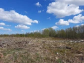 Нежилое здание (станочный цех с пристройкой, 1-этажное, полностью разрушено) - 612,8 кв. м, нежилое здание (котельная, 2-этажное, полностью разрушено) - 282,8 кв. м,  зем. участок - 24 264 +/- 109 кв. м: Вологодская обл., Грязовецкий р-н, с/а Лежская