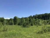 Земельные участки (123 шт.) - 149 654 +/- 1 284 кв. м, адрес: Пермский край, Ильинский р-н, тер. Некрасова урочище, земли сельскохозяйственного назначения - для садоводства