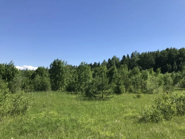 Земельные участки (123 шт.) - 149 654 +/- 1 284 кв. м, адрес: Пермский край, Ильинский р-н, тер. Некрасова урочище, земли сельскохозяйственного назначения - для садоводства
