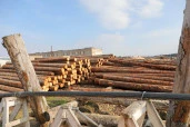 Деревообрабатывающий комплекс в Волосово (100% долей в уставном капитале ООО «СБК ПРОМ»)