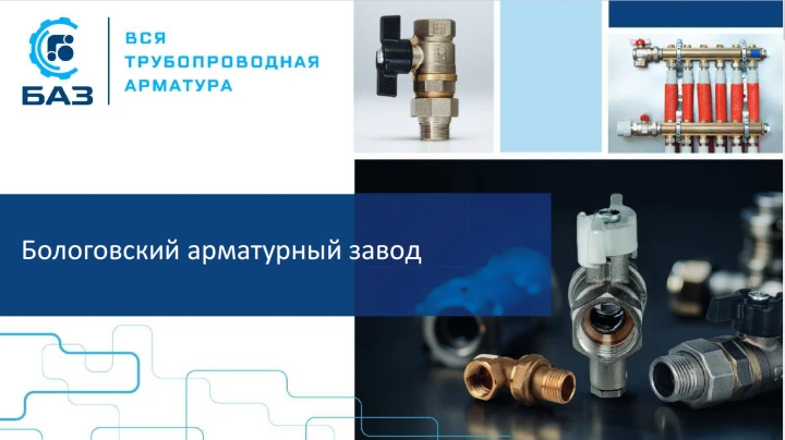 100% долей в уставном капитале ООО «БАЗ» (ОГРН: 1186952005063), права требования к ООО «БАЗ» (ОГРН: 1186952005063), исключительные права на товарный знак