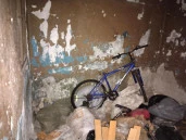 Нежилое здание площадью 8,8 кв. м, расположенное на земельном участке площадью 12 кв. м на Курляндской улице