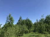 Земельные участки (123 шт.) - 149 654 +/- 1 284 кв. м, адрес: Пермский край, Ильинский р-н, тер. Некрасова урочище, земли сельскохозяйственного назначения - для садоводства