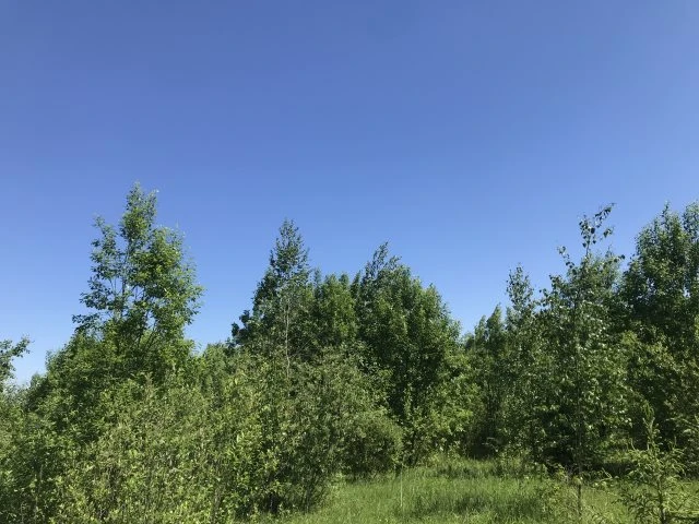 Земельные участки (123 шт.) - 149 654 +/- 1 284 кв. м, адрес: Пермский край, Ильинский р-н, тер. Некрасова урочище, земли сельскохозяйственного назначения - для садоводства