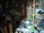 Нежилое здание площадью 8,8 кв. м, расположенное на земельном участке площадью 12 кв. м на Курляндской улице