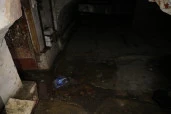 Право аренды помещения площадью 219,9 кв. м в Апраксином дворе