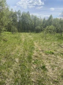 Земельные участки (16 поз.) - 52 310 +/- 162 кв. м, адрес: Ярославская обл., Переславский р-н, с/о Глебовский, вблизи д. Большое Пальцино, ДНП «Союз дачников», земли сельскохозяйственного назначения - для ведения дачного хозяйства