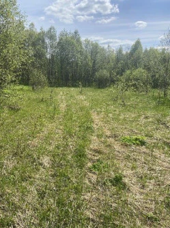 Земельные участки (16 поз.) - 52 310 +/- 162 кв. м, адрес: Ярославская обл., Переславский р-н, с/о Глебовский, вблизи д. Большое Пальцино, ДНП «Союз дачников», земли сельскохозяйственного назначения - для ведения дачного хозяйства