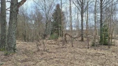 Земельный участок - 154 951 +/- 3 444 кв. м, земельный участок - 16 007 кв. м, адрес: Тверская обл., Зубцовский р-н, с/пос Зубцовское, вблизи д. Давыдково, д. Гармоново