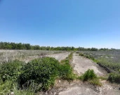 Производственный комплекс (здания телятника, коровника, кормоцеха и з/участки) в Курской области, Щигровский р-н, Вышнеольховатский сельсовет