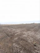 Земельный участок, 1500 кв.м, Семикаракорский р-н, Ростовская обл.