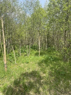 Земельные участки (16 поз.) - 52 310 +/- 162 кв. м, адрес: Ярославская обл., Переславский р-н, с/о Глебовский, вблизи д. Большое Пальцино, ДНП «Союз дачников», земли сельскохозяйственного назначения - для ведения дачного хозяйства