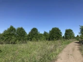 Земельный участок (земли населенных пунктов) - 1 250 +/- 10 кв. м, адрес: Пермский край, Добрянский р-н, с. п. Краснослудское, д. Городище, кадастровый номер 59:18:3630101:4254