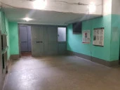 Нежилое помещение 23 кв.м. у ст.м. "Проспект Просвещения"