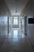 Земельный участок площадью 2 495 кв.м., категория земель: земли населенных пунктов, кад.№: 48:04:1030125:13 с объектами недвижимости по адресу: Липецкая обл., Добринский р-н, с. Талицкий Чамлык, ул. Советская, д.37