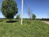 Земельные участки (134 шт.) - 158 721 +/- 1 425 кв. м, адрес: Пермский край, Ильинский р-н, тер. Накатаево урочище, земли сельскохозяйственного назначения - для садоводства