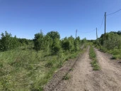Земельный участок (земли населенных пунктов) - 1 250 +/- 10 кв. м, адрес: Пермский край, Добрянский р-н, с. п. Краснослудское, д. Городище, кадастровый номер 59:18:3630101:4254