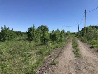 Земельный участок (земли населенных пунктов) - 1 250 +/- 10 кв. м, адрес: Пермский край, Добрянский р-н, с. п. Краснослудское, д. Городище, кадастровый номер 59:18:3630101:4254