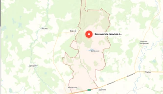 38 земельных участков сельхозназначения в Смоленской области,  Сафоновский р-н, с/п. Беленинское (в залоге ООО "Вестинтербанк")