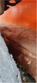 Снегоболотоход гусеничный ТТМ-3902ГР