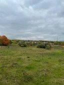 Земельный участок 10 000 +/- 70 кв.м,  в Тульской области, Щекинский р-н, с. Костомарово, кадастровый номер 71:22:050309:120