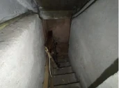 Нежилые помещения, общей площадью 628,4 кв. м, расположенные по адресу: Республика Башкортостан, г. Уфа, Кировский район, ул. Достоевского, 160.